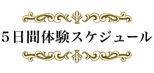 5日間体験スケジュール