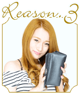 reason03